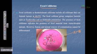 Indicator organism fecal coliform total coliform [upl. by Angelico60]