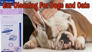 Ear Cleaning For Dogs and Cats  Epiotic Ear Cleanser  Happypet [upl. by Ruel]