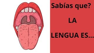 La lengua más que un músculo CUÁNTO SABES [upl. by Julianne]