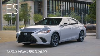 The 2019 Lexus ES Walk Around Video  Lexus [upl. by Innavoj149]