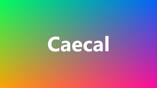 Caecal  Medical Meaning and Pronunciation [upl. by Anibor]