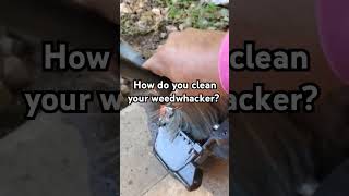 Do you maintain your weed wackers Weed wacker maintenance lawnlife lawncare lawnmaintenance [upl. by Dilly]