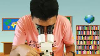 How Do STEREO MICROSCOPES Work [upl. by Brittnee]