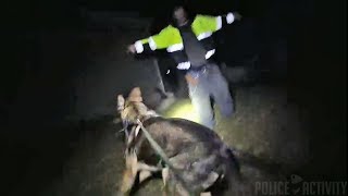 Bodycam Video Shows Man Biting Police K9 [upl. by Marteena117]