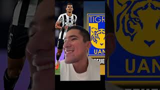 Fichajes Tigres tigres futbolmexicano ligamx futbol viralshort shortsyoutube youtubeshorts [upl. by Iarised]