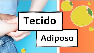 Histologia Tecido Adiposo [upl. by Yahska]