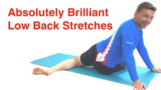 The Best Low Back Stretches  Lower Back Pain Relief Routine With FREE Exercise Sheet [upl. by Regine944]