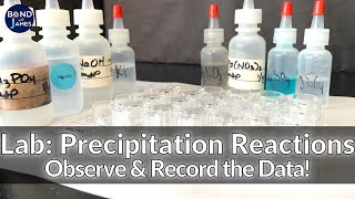 Precipitation Reactions Lab Observe amp Record the Data [upl. by Potts]