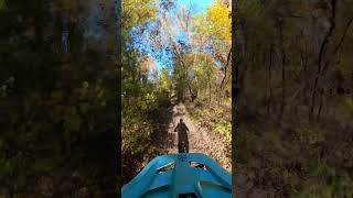 Fall MT Bike rides mtbbike fall autumn [upl. by Orban91]