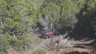 O5 and 68 Paiute Side ATV Trails in Beaver Utah  What to Expect  Beaver County UT [upl. by Aneris]