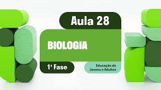 Biologia  Aula 28  Relação entre genótipo e fenótipo [upl. by Ttelrahc]