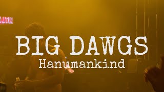 Big Dawgs  Hanumankind  Live performance at Sunburn Union [upl. by Oigufer]