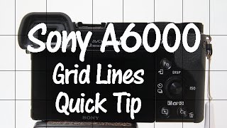 Sony A6000 and A6300 Quick Tip  Grid Lines [upl. by Hplar]