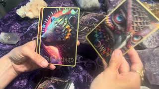 new game  Cosmic Animalia Oracle Card Deck and Guidebook [upl. by Onilegna]