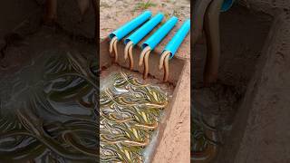 Survival Skills Simple But Very Useful with eel trap shorts survival bushcraft outdoors [upl. by Adnovay]