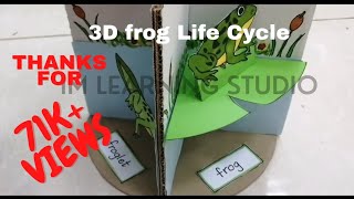 3D frog life cycle  DIY project  montessori at home  IM learning studio [upl. by Arzed]