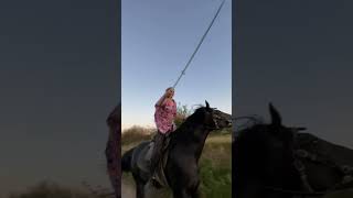 тренировка с шашкой horse кони лошади кабардинскаяпородалошадей кабардинцы оружие джигитовка [upl. by Yasmar]