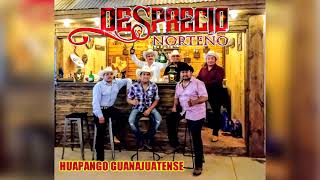 DESPRECIO NORTEÑO huapango guanajuatense [upl. by Ataga362]