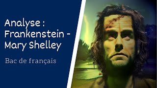 Frankenstein de Mary Shelley Analyse [upl. by Arissa]