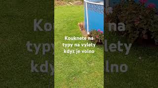 Užijte si volno [upl. by Buddy]