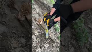 This chainsaw is so easy to usechainsaws hardwaretools viralvideo foryou [upl. by Izzy429]