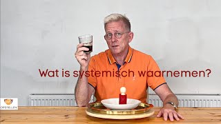 Wat is systemisch waarnemen [upl. by Bikales]