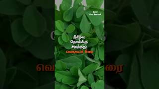 நீண்ட நாள் ஆரோக்கியமாக வாழ கீரையைசாப்பிடுங்க spinachகீரைகீரைவகைகள்UseofspinachHowtouse spanish [upl. by Deragon]