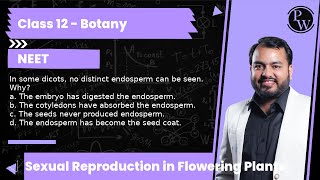 In some dicots no distinct endosperm can be seen Why a The embryo has digested the endosperm [upl. by Adnamal773]