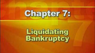 Bankruptcy Basics  Part 2 Types of Bankruptcy [upl. by Nwahsram]