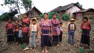 Protecting the rights and wellbeing of indigenous peoples [upl. by Ainel]