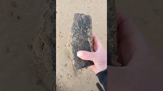 Huge Fossil Find Beachcombing UK beachcombing fossil [upl. by Trebuh]