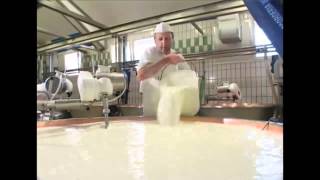 Come si fa il formaggio Asiago Tutte le risposte in questo video [upl. by Wallraff569]