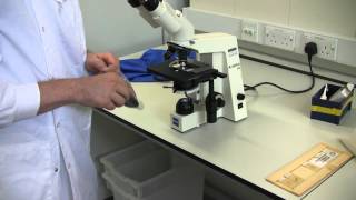 How to set up the Zeiss Microscope [upl. by Martinsen]