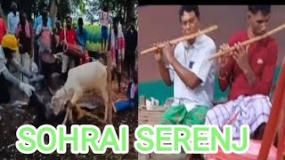 Sohrai SerenjChirgal Chirgal KherwalSantali Sohrai Songbimlamandi8087 [upl. by Petromilli]