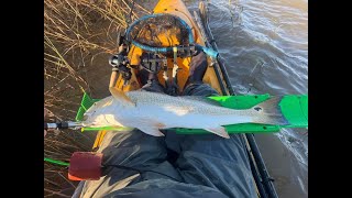 Epic day Non Stop Redfish Action [upl. by Therine]