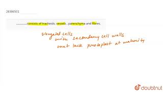 ����consists of tracheids vessels  parenchyma and fibres [upl. by Feucht]