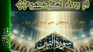 Sura UtTeenBy Junaid AsadullahFull Vidyo HDBeautiful Tilawat Reaction Arabic Text [upl. by Yllus]