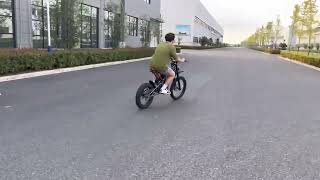 48V 2000W Stealth Bomber eBike Electric Bicycle With Bicycle or Motorcycle [upl. by Anirtac222]