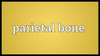 Parietal bone Meaning [upl. by Joya]