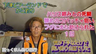 【和歌山下津ピアーランド】50オーバーの真鯛が釣れる公園 僕はダメでしたが爆 [upl. by Aloeda]