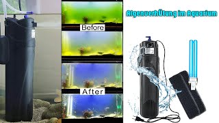 AquariumWasserfilter mit UVCLampe zur Algenbekämpfung und Keimabtötung [upl. by Ellecram812]