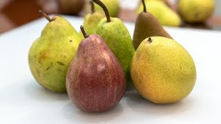 Pears Howto and Varieties [upl. by Ceil]