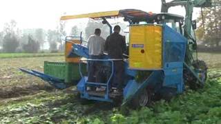 EUROPA CF300 turnips and beetrots harvester Cremona 2009 [upl. by Dduj]