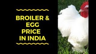 Wholesale Egg rates  Broiler Rates  Daily Free Poultry Rates  1532018 [upl. by Gruver]