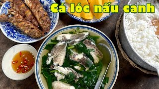 Ví dầu CÁ LÓC NẤU CANH cơm nhà má nấu ngọt lành nhớ thương  Đặc sản miền sông nước [upl. by Lladnarc]