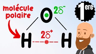 Polarité dune molécule  polaire ou apolaire Cours de première  physique chimie [upl. by Airak]