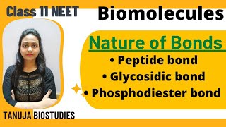 Biomolecules  Nature of bonds Peptide bond Glycosidic bond  Phosphodiester bond  Class 11 NEET [upl. by Ashil359]