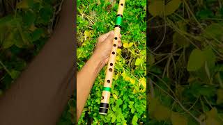 C natural medium flute  flute flutes bansuri 8210544770 [upl. by Izogn]