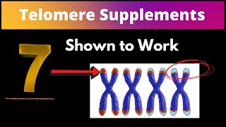 Telomere Supplements Which Ones Really Work [upl. by Adnaerb]