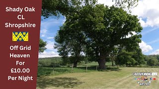 Offgrid Adventure Caravanning At Beautiful Shady Oak Cl In Shropshire [upl. by Havener]